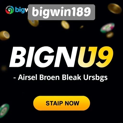 Bonus dan Promosi Menarik di Bigwin189
